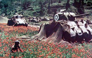 amapolas