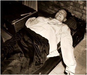 cadaver