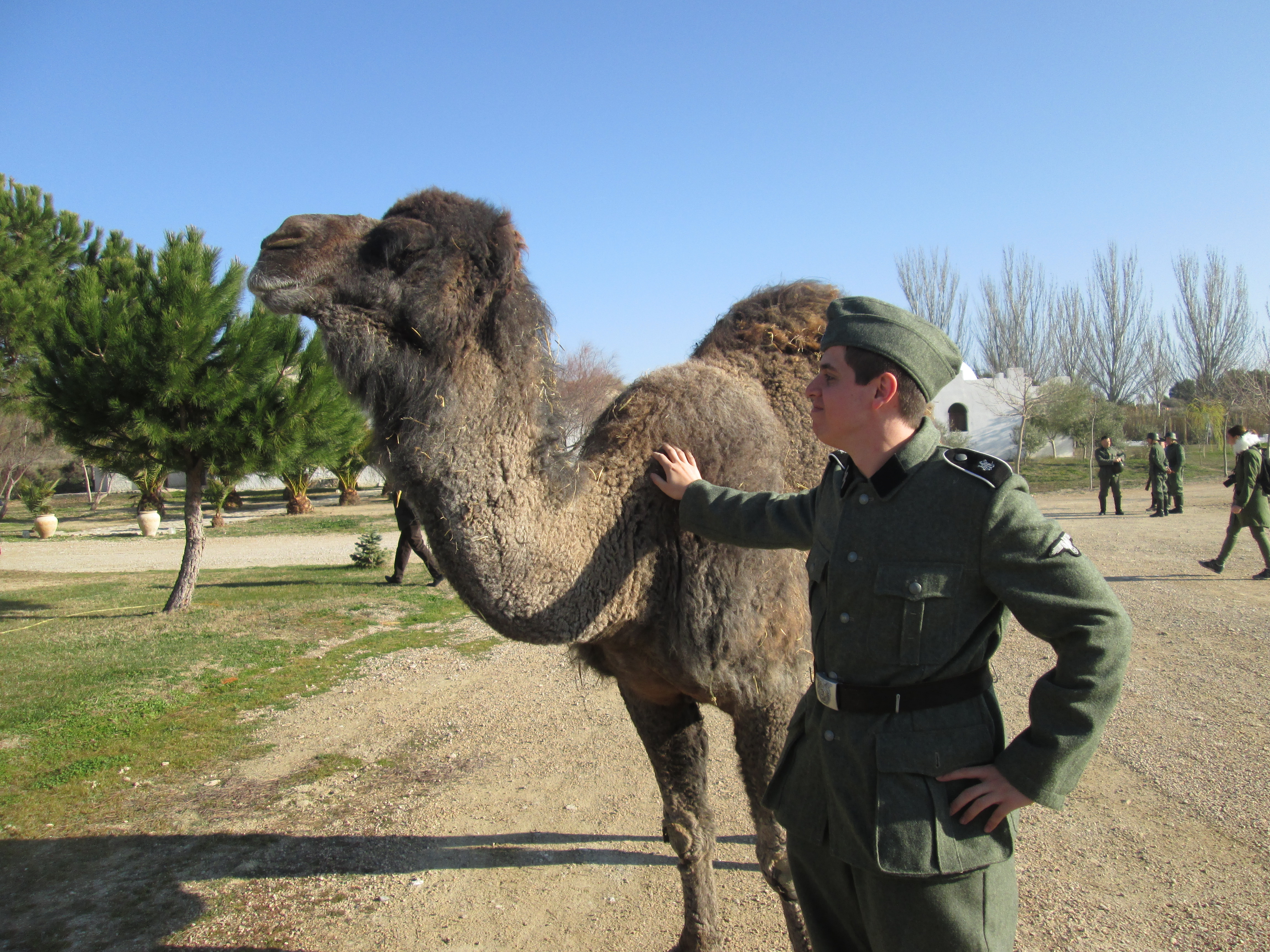 13. Dromedario (hembra) de nombre Baltasara y mascota del evento con un soldado alemán.