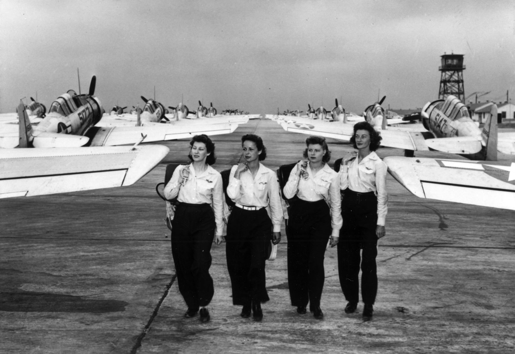 dauntless wasp